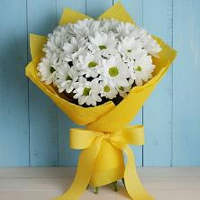 Букет цветов из:  Хризантемы в Красночервонном