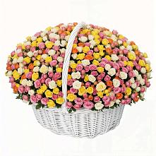 Премиум букет из: Розы в Красночервонном