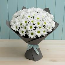 Букет цветов из:  Хризантемы в Красночервонном