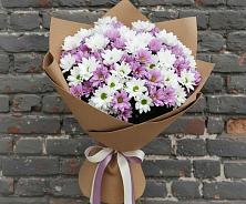 Букет цветов из:  Хризантемы #REPLACE_PRED# Красночервонном