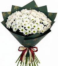 Букет цветов из:  Хризантемы #REPLACE_PRED# Красночервонном