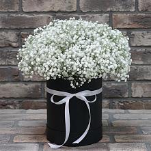 Цветочная композиция из Гипсофила в шляпной коробке #REPLACE_PRED# Красночервонном