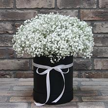 Цветочная композиция из Гипсофила в шляпной коробке в Красночервонном