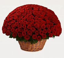Премиум букет из: Розы в Красночервонном