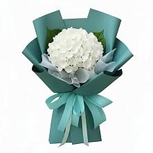Букет цветов из:  Гортензия #REPLACE_PRED# Красночервонном